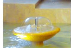 China SS304 Mushroom Fountain Jet Nozzle 1/2 DN15  ISO9001 supplier