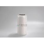 20 Inch PES Membrane Filter Cartridge Pleated for Final Filtration 0.2 Micron for sale