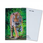 Participation and Donation Options 3D Card with Lenticular Printing