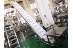 China 0.75KW Incline Conveyor Systems supplier