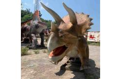 China Jurassic World Dinosaur Theme Exhibitions Realistic Animatronic Dinosaur Triceratops Model supplier