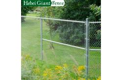 China 50*50mm Galvanized Chain Wire Mesh Fence For Construction supplier