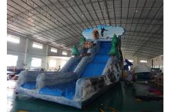 China Inflatable Water Slide With Arches For Water Park Amusement Games supplier