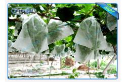 China Soft Feeling Polypropylene Non Woven Fabric Landscape Crop Cover supplier