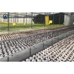 NFT Hydroponic Growing System Plastic Channel For Home And Commercial Use for sale