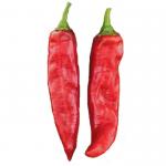 Red Chili Pods High Nutrition Content Loaded With Vitamin A And C 8000-12000shu for sale
