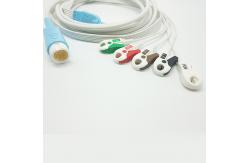 China 12 Pin Round Connector PH HP Disposable ECG Cables supplier
