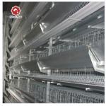 Silver Star Breeding H Type Broiler Cage 3 / 4 Layer Can Be Customized Chicken Coop for sale