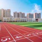 UV Resistant Outdoor Synthetic Flooring Athletic Track Surfaces for sale