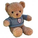 25cm Brown Plush Rag Doll Teddy Bear Girlfriend Birthday Gift for sale