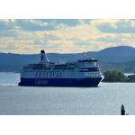 Shenzhen Oceania Freight , Sea Shipping From China To Canada / USA for sale