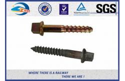 China Railway Track Sleeper Screw Spike with Slotting Head plain black galvanized supplier