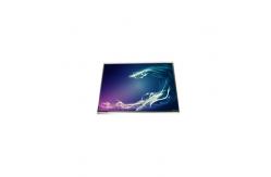 China LPP055A384C 5.5 inch 1080*1920 LCD Screen FOR Mobile Phone supplier