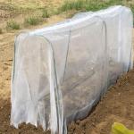 10x50m Plastic Insect Mesh Cover For Plant And Fruit Tree Net Cover