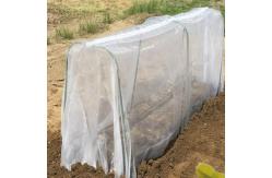 China 10x50m Plastic Insect Mesh Cover For Plant And Fruit Tree Net Cover supplier