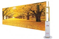 China 4.3inch Lcd 3d Vertical Wall Printing Machine , Wall Art Printing Machine supplier
