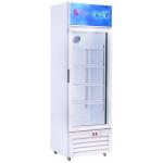 Air Cooled Single Glass Door Freezer Beverages Vegetables One Door Glass Freezer for sale