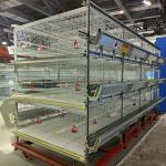 Cold Galvanized Poultry Farm Cages For Broiler Chicken Breeding / Meat Broiler for sale