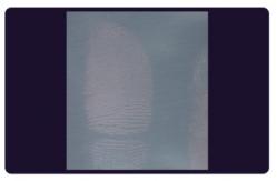 China C205 BTDM-Ⅰ Vacuum coating fingerprint developing instrument supplier