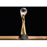Company Celebration Metal Trophy Cup With Silk Screen Printed Logo for sale
