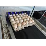 Small Character / Date Egg Jet Printer With USB Download Storage Messages