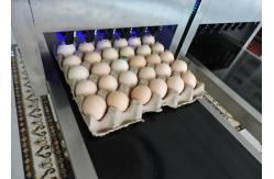 China Small Character / Date Egg Jet Printer With USB Download Storage Messages supplier
