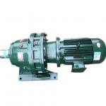 Industrial Pinwheel Speed Cycloidal Gear Reducer Motor ODM