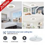 Smart App Control 20 Inch Flush Mount LED Ceiling Fan For Bedroom