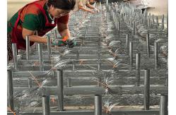 China Non-Explosive Barriers Anti Tank Barrier Tank Track Wrapping Wire Mesh supplier