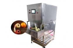 China Pineapple Apple Peeling Automatic Food Processing Machines supplier