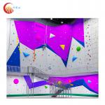 Adult Indoor Large Rock Climbing Wall For Playground Gym Fitness for sale