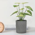 Modern Artificial Potted Floor Plants For Home And Garden Decoration Philodendron Birkin for sale