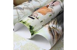 China Eco Solvent Self Adhesive Paper Roll Photo Glossy supplier