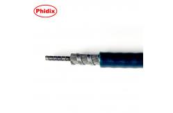 China Button Lock Push-Pull Control Head supplier