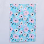 Biodegradable Printed Mailing Bags Sizes From 10x15cm To 50x70cm