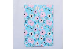 China Biodegradable Printed Mailing Bags Sizes From 10x15cm To 50x70cm supplier
