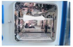 China 220 Liter Laboratory Oven , Electronic Environmental Test Equipment supplier