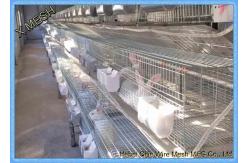 China Welded Wire Mesh Fencing Panels Rabbit Battery Cage 3 Or 4 Layers supplier