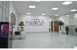 China Electronic Wiring Harness manufacturer