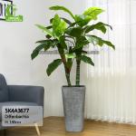 Indoor Decorative 180cm Artificial Diffenbachia Plant Big Green Leaves For Space Landscaping for sale