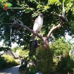 ISO Garden Ornaments Realistic Animatronic Looking Bird Lifelike Animals for sale