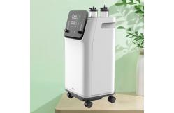 China OEM Class II Oxygen Breathing Machine 10L Dual Flow supplier