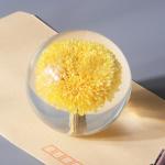 Custom Resin Paperweight 3 Inch 4 Inch 5 Inch Crystal Paper Weights