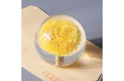 China Custom Resin Paperweight 3 Inch 4 Inch 5 Inch Crystal Paper Weights supplier