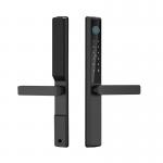 Qleung S960 Waterproof Digital Door Lock Tuya TTlock APP Framed Glass Password Card Fingerprint Smart Home Door Lock for sale