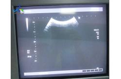 China Toshiba PVT-382BT Abdominal Ultrasound Transducer Probe 5.5 MHz supplier