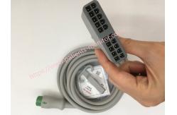 China Mindray ECG Cable 12pin 12 Lead Host Cable EV6204 PN 0010-30-42722 supplier