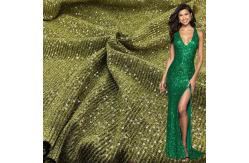 China Classic 147cm Polyester Embroidered Sequin Mesh Fabric For Evening supplier
