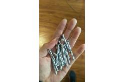 China OEM / ODM Angular Spiral Concrete Nails Carbon Steel Box Packing supplier