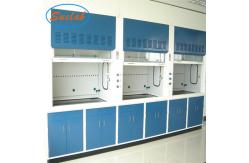 China High Quality Phenolic Resin Worktop Frp industrial Lab Fume Cupboard Manufacturers HK supplier
